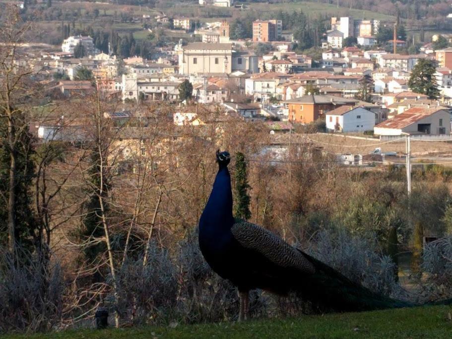 Il Ghiro Apartments Caprino Veronese Exteriör bild